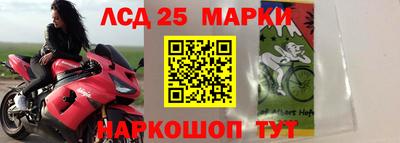 СК Лесосибирск
