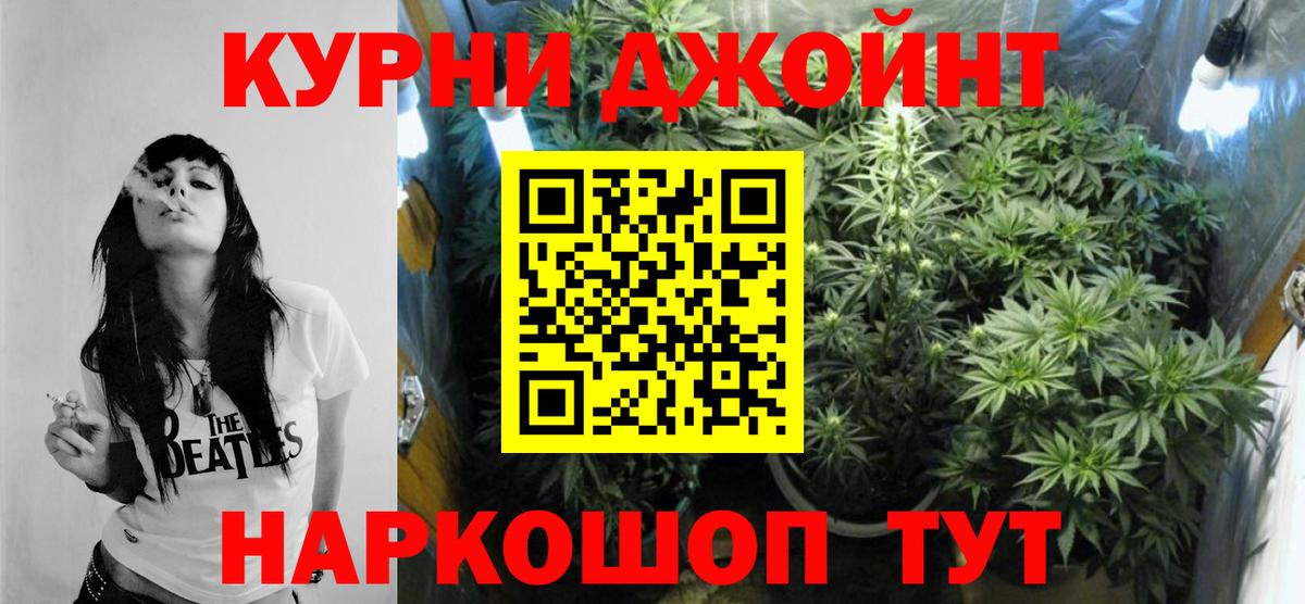 Марихуана планчик  Шишки марихуана OG Kush  Щёлково  Вход с VPN  Каннабис тримм  Шишки марихуана Ganja 